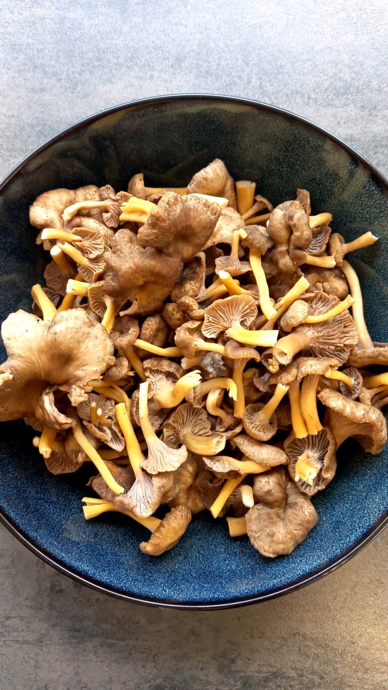 cours de cuisine girolles